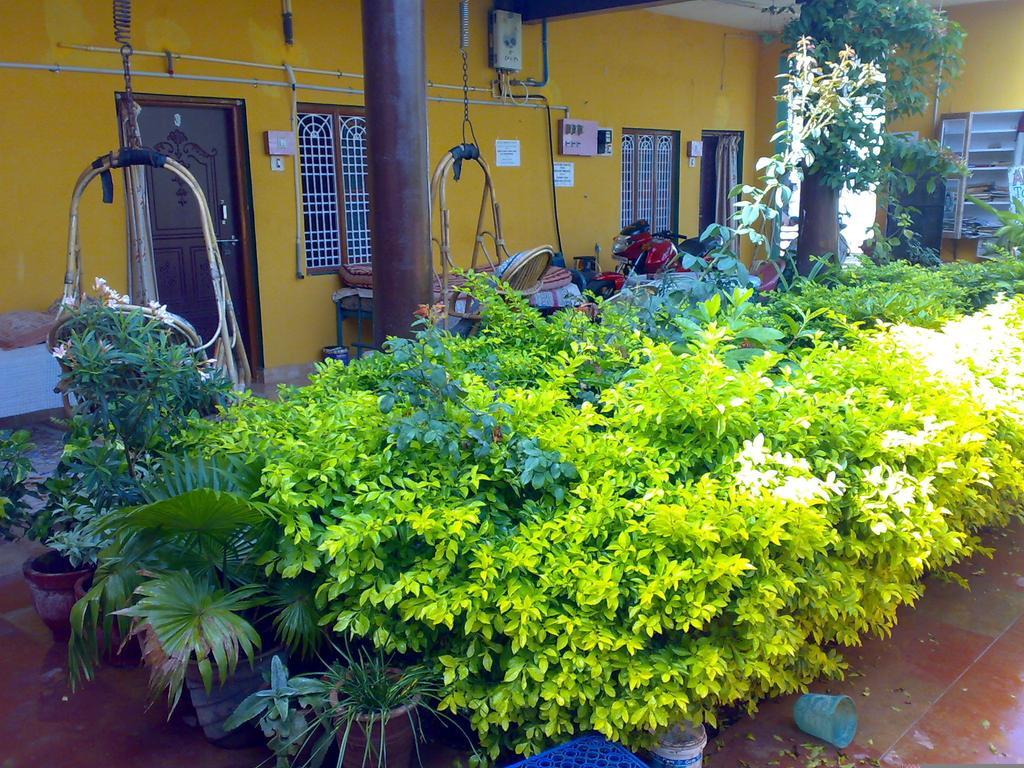 Archana Guest House River View Hampi Exterior foto